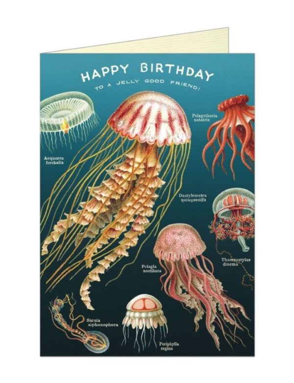 "Jellyfish" Birthday Greeting Card