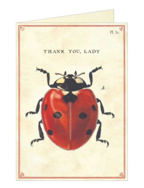 "Lady Bug Thank you" Greeting Card