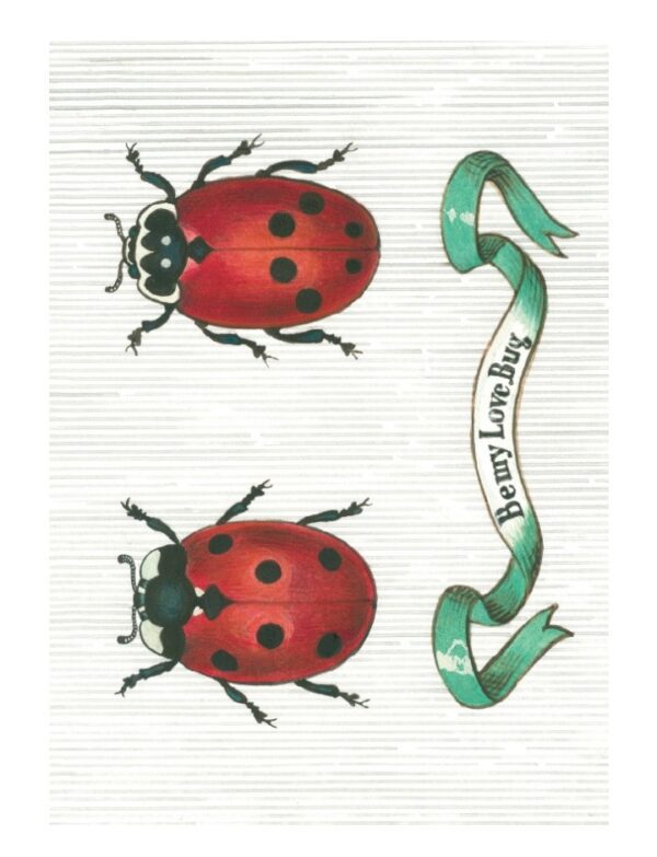 Love Bug Greeting Card