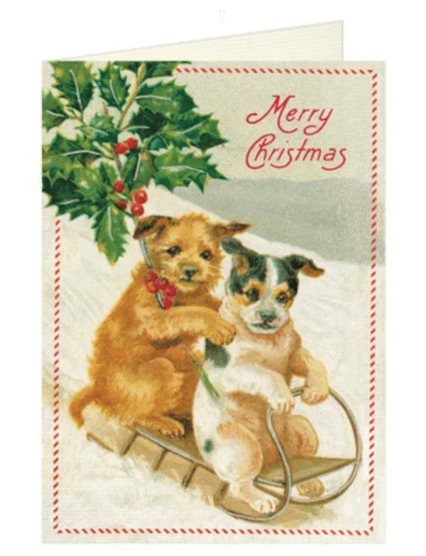 “FESTIVE DOGS SLEDDING” Christmas Greeting Card