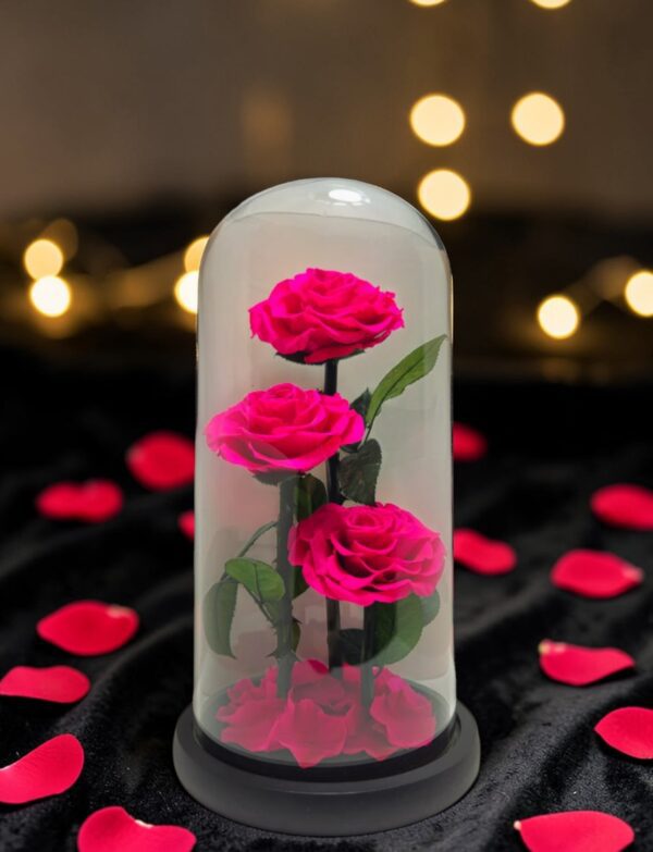 Ecuadorian Eternal Rose (Fuchsia)