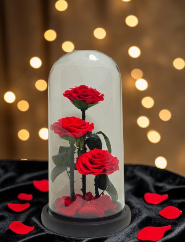 Ecuadorian Eternal Rose (Red)